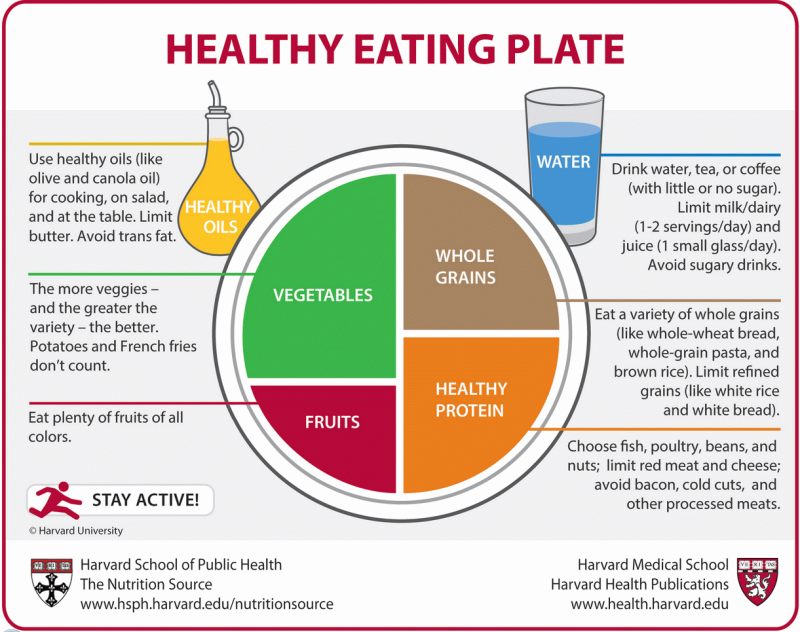 Plato de la Alimentación Saludable