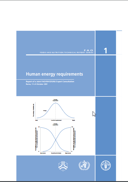 Human Energy Requirement