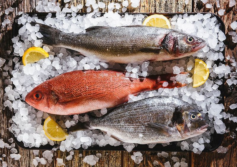 Beneficios del consumo de pescado en México
