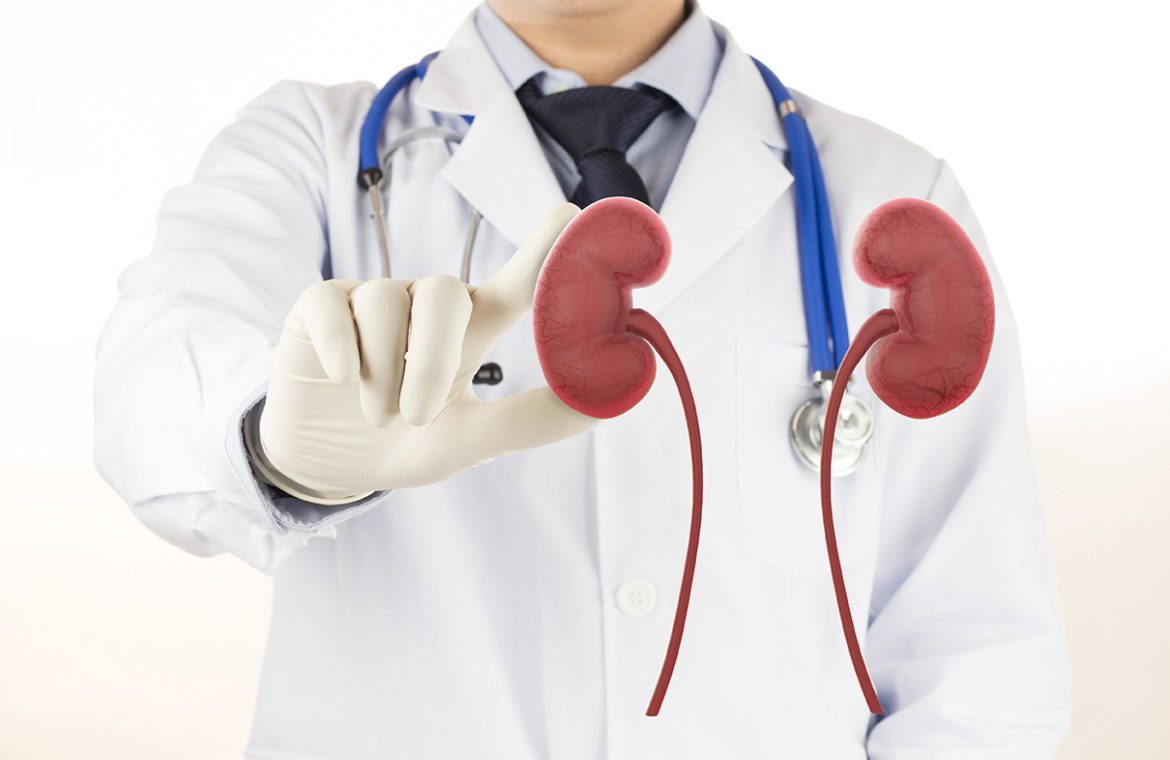 Creación de una política de Salud Renal en México