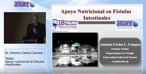 Apoyo nutricional en fístulas intestinales